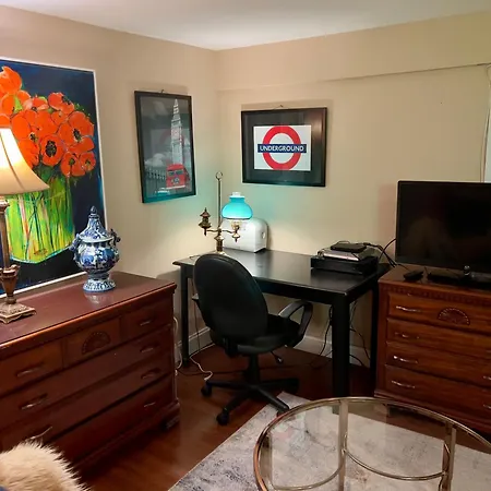 Charming 1-Bedroom Basement Close To Dc Pets Allowed